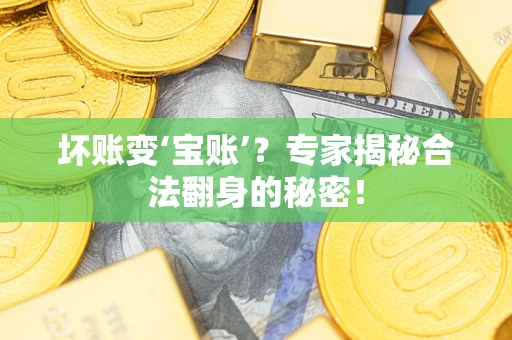 北京坏账变‘宝账’？专家揭秘合法翻身的秘密！