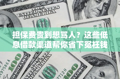 北京担保费贵到想骂人？这些低息借款渠道帮你省下冤枉钱