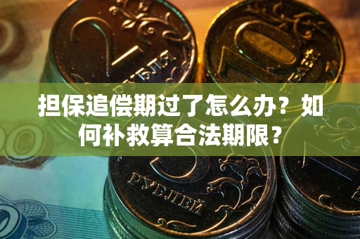 北京担保追偿期过了怎么办？如何补救算合法期限？
